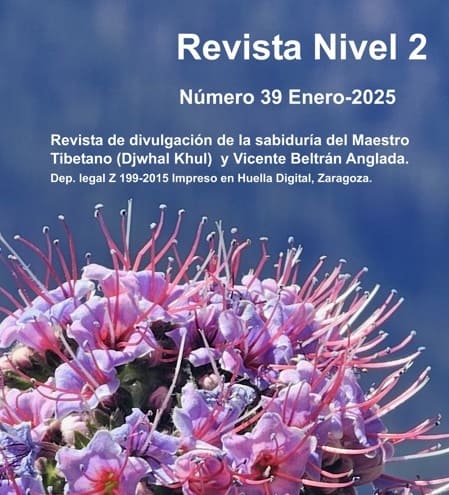 revista nivel 2