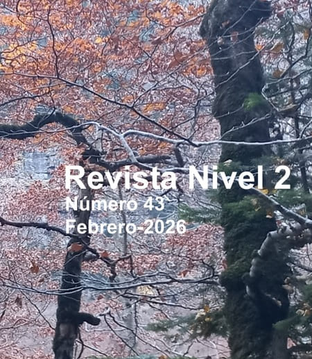revista nivel 2